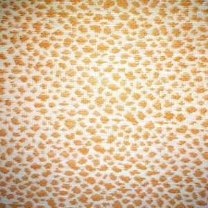 Indoor Outdoor Fabric